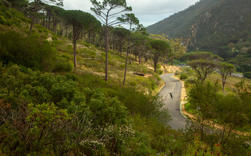 Rvca South Africa